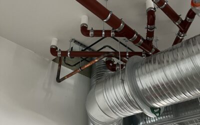 Miten autamme asiakasta?